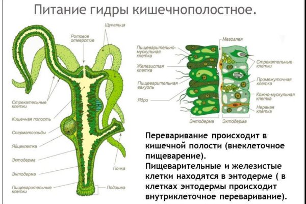 Kraken сайт даркнет