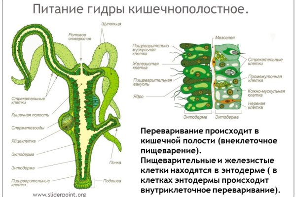 Кракен даркнет войти