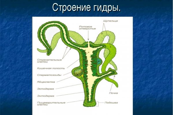 Кракен krakken15at com